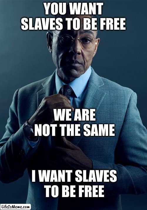 based gus | YOU WANT SLAVES TO BE FREE; WE ARE NOT THE SAME; I WANT SLAVES TO BE FREE | image tagged in gus fring we are not the same | made w/ Lifeismeme meme maker