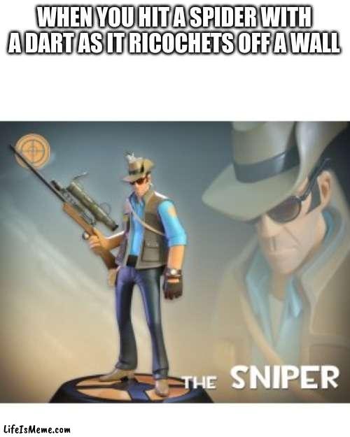 The Sniper TF2 meme | WHEN YOU HIT A SPIDER WITH A DART AS IT RICOCHETS OFF A WALL | image tagged in the sniper tf2 meme,sniper | made w/ Lifeismeme meme maker