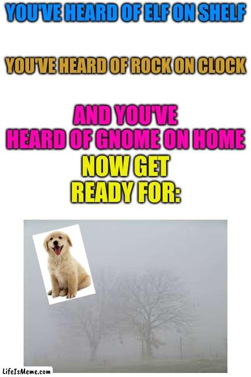 DOG ON FOG!!!! Credit to Iceu_ and Rat_PoisoN | YOU'VE HEARD OF ELF ON SHELF; YOU'VE HEARD OF ROCK ON CLOCK; AND YOU'VE HEARD OF GNOME ON HOME; NOW GET READY FOR: | image tagged in merry christmas | made w/ Lifeismeme meme maker