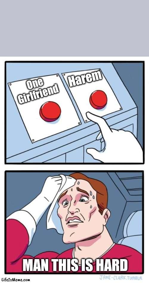 A Man's tough decision | Harem; One Girlfriend; MAN THIS IS HARD | image tagged in memes,two buttons,man's girlfriend | made w/ Lifeismeme meme maker