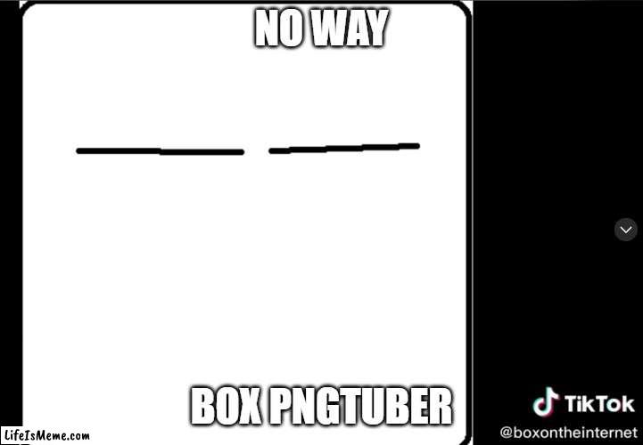 NO WAY TIKTOK BOX MAN OMG OMG OMG!!!!11!!1! | NO WAY; BOX PNGTUBER | image tagged in box,tiktok,no way | made w/ Lifeismeme meme maker