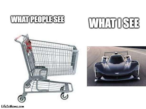 Vroom Vroom | WHAT I SEE; WHAT PEOPLE SEE | image tagged in car,shopping cart | made w/ Lifeismeme meme maker