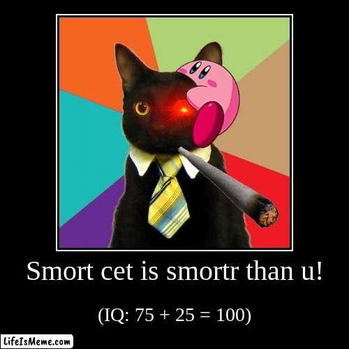 smort cet | image tagged in funny,demotivationals | made w/ Lifeismeme demotivational maker