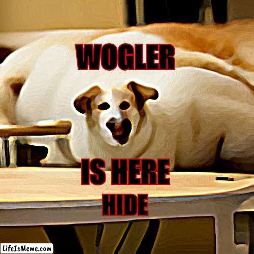 Wogler the wiggler dog. | WOGLER; IS HERE; HIDE | image tagged in dogs,wierd,pets,worm,funny | made w/ Lifeismeme meme maker