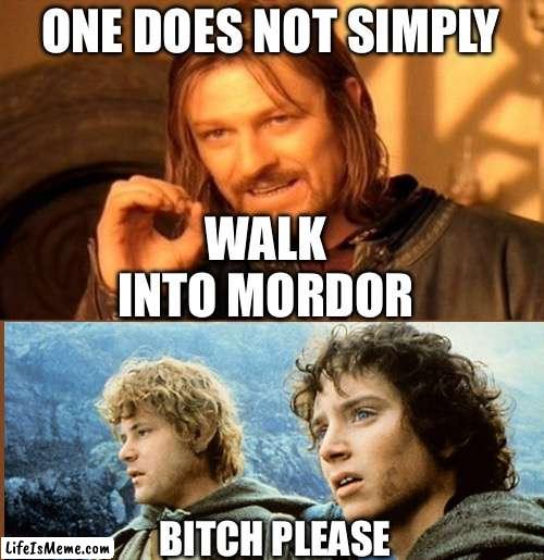 They did | ONE DOES NOT SIMPLY; WALK INTO MORDOR; BITCH PLEASE | image tagged in memes,one does not simply | made w/ Lifeismeme meme maker