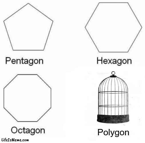 Four Great Shapes of Truth | Polygon | image tagged in memes,pentagon hexagon octagon,polygon,dad joke,bad pun | made w/ Lifeismeme meme maker