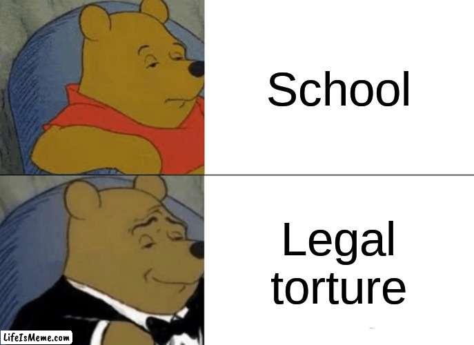 dank | School; Legal torture | image tagged in memes,tuxedo winnie the pooh,school,dank memes,torture,homework | made w/ Lifeismeme meme maker