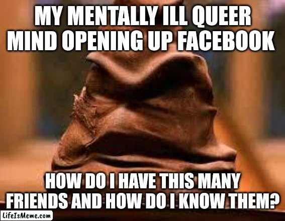 Organizing your Facebook friends be like: | MY MENTALLY ILL QUEER MIND OPENING UP FACEBOOK; HOW DO I HAVE THIS MANY FRIENDS AND HOW DO I KNOW THEM? | image tagged in harry potter sorting hat,facebook problems,chores,mental illness,adhd,lgbtq | made w/ Lifeismeme meme maker