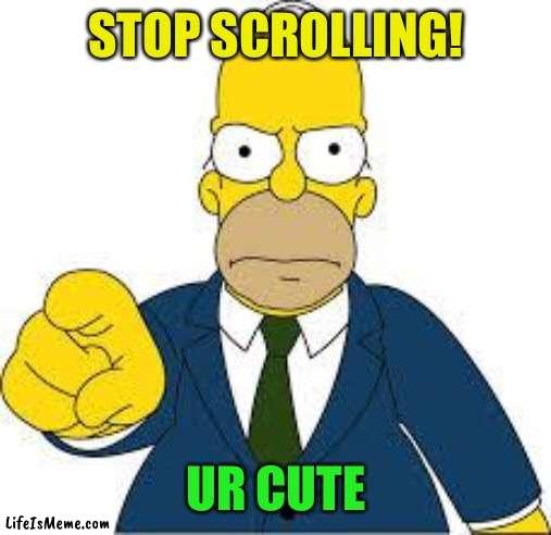 Hey you | STOP SCROLLING! UR CUTE | image tagged in hey you,fun,fun stream,fresh memes | made w/ Lifeismeme meme maker
