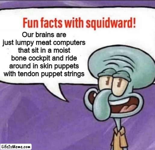 Skin Puppeteers | Our brains are just lumpy meat computers that sit in a moist bone cockpit and ride around in skin puppets with tendon puppet strings | image tagged in fun facts with squidward,creepy,realization,brain | made w/ Lifeismeme meme maker