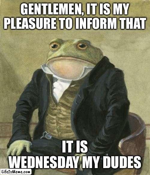 Gentleman frog | GENTLEMEN, IT IS MY PLEASURE TO INFORM THAT; IT IS WEDNESDAY MY DUDES | image tagged in gentleman frog | made w/ Lifeismeme meme maker