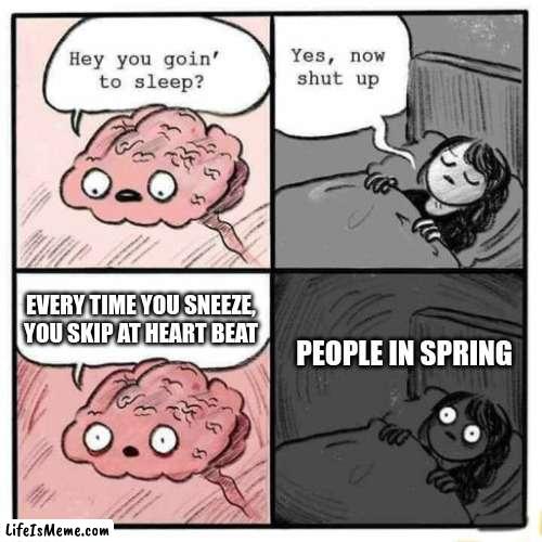 Every time I sneeze I think of this... | EVERY TIME YOU SNEEZE, YOU SKIP AT HEART BEAT; PEOPLE IN SPRING | image tagged in hey you going to sleep | made w/ Lifeismeme meme maker