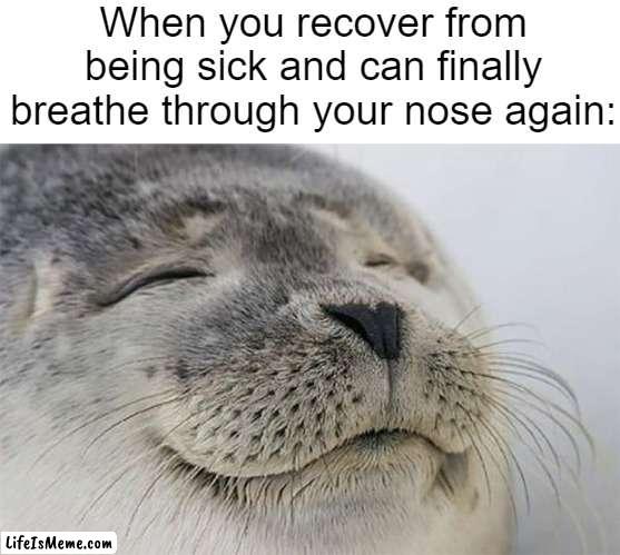 I am actually sick as a dog right now. Dear lord. | When you recover from being sick and can finally breathe through your nose again: | image tagged in memes,satisfied seal | made w/ Lifeismeme meme maker