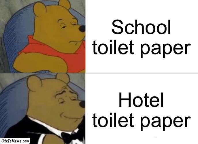 theyre the exact same thing but one is fancier and has a triangle fold | School toilet paper; Hotel toilet paper | image tagged in memes,tuxedo winnie the pooh | made w/ Lifeismeme meme maker