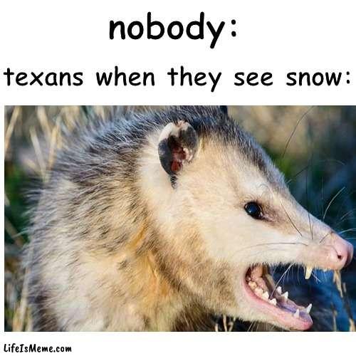 well its getting cold lets hope its like last feburary | texans when they see snow:; nobody: | image tagged in texas,snow,winter is here,memes,true story,funny | made w/ Lifeismeme meme maker