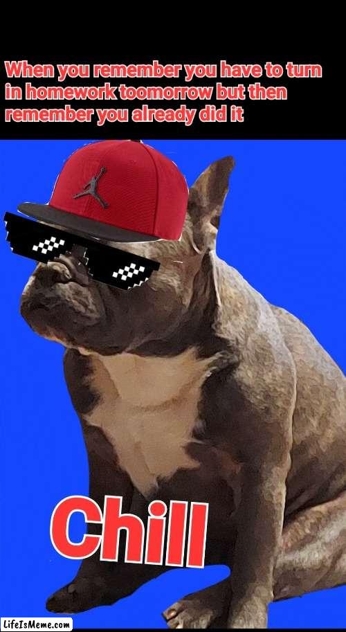 Chill Dog | image tagged in dog | made w/ Lifeismeme meme maker