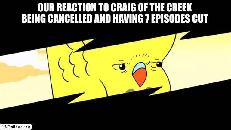 Another Cartoon Network Show Gone Soon | OUR REACTION TO CRAIG OF THE CREEK BEING CANCELLED AND HAVING 7 EPISODES CUT | image tagged in cartoon network | made w/ Lifeismeme meme maker
