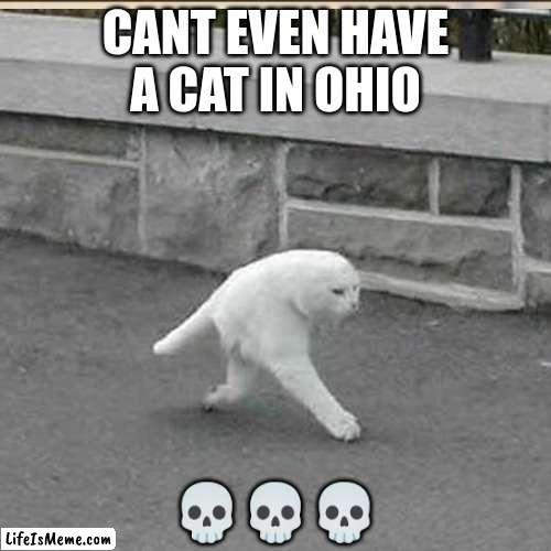Cant even have a cat in ohio? | CANT EVEN HAVE A CAT IN OHIO; 💀💀💀 | image tagged in ohio,cat,memes | made w/ Lifeismeme meme maker
