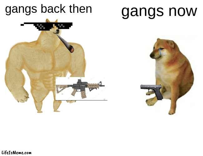 gangs | gangs back then; gangs now | image tagged in memes,buff doge vs cheems | made w/ Lifeismeme meme maker