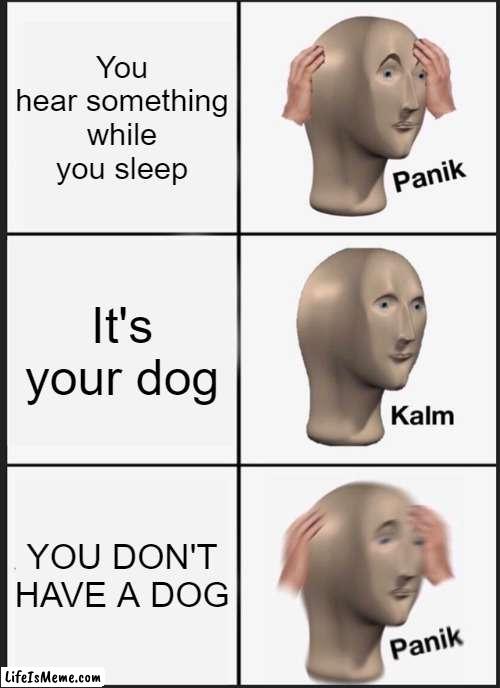 Memes from before your dad left | You hear something while you sleep; It's your dog; YOU DON'T HAVE A DOG | image tagged in memes,panik kalm panik | made w/ Lifeismeme meme maker