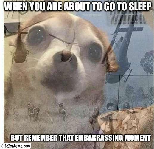 shellshock | WHEN YOU ARE ABOUT TO GO TO SLEEP; BUT REMEMBER THAT EMBARRASSING MOMENT | image tagged in ptsd chihuahua | made w/ Lifeismeme meme maker