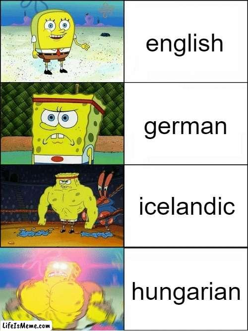 languages be like | english; german; icelandic; hungarian | image tagged in sponge finna commit muder,memes | made w/ Lifeismeme meme maker