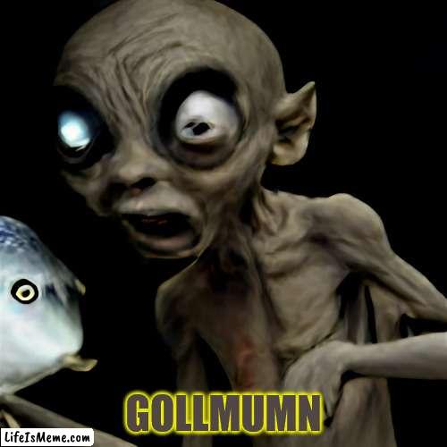 Galium | GOLLMUMN | image tagged in gollum,meme,cursed | made w/ Lifeismeme meme maker