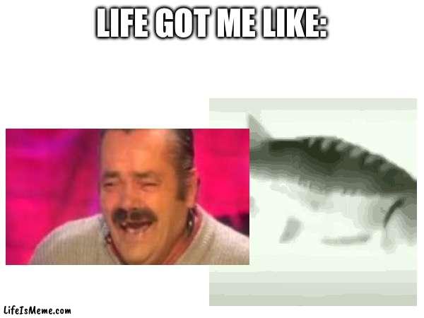 All that’s in my head all day | LIFE GOT ME LIKE: | image tagged in meme,old guy laughing | made w/ Lifeismeme meme maker