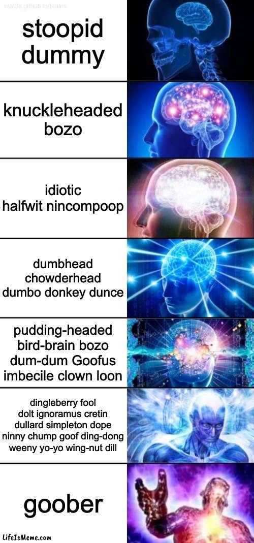 G O O B E R | stoopid dummy; knuckleheaded bozo; idiotic halfwit nincompoop; dumbhead chowderhead dumbo donkey dunce; pudding-headed bird-brain bozo dum-dum Goofus imbecile clown loon; dingleberry fool dolt ignoramus cretin dullard simpleton dope ninny chump goof ding-dong weeny yo-yo wing-nut dill; goober | image tagged in 7-tier expanding brain,stupid,dummy,insults,expanding brain | made w/ Lifeismeme meme maker