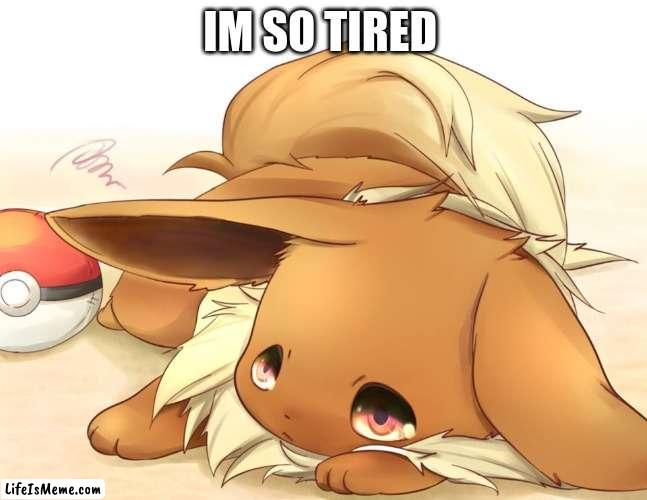 im so tired | IM SO TIRED | image tagged in sad,tired | made w/ Lifeismeme meme maker