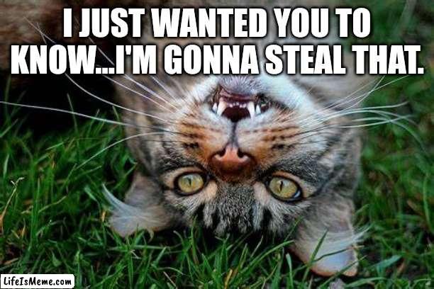 Steal Ur Post | I JUST WANTED YOU TO KNOW...I'M GONNA STEAL THAT. | image tagged in facebook | made w/ Lifeismeme meme maker