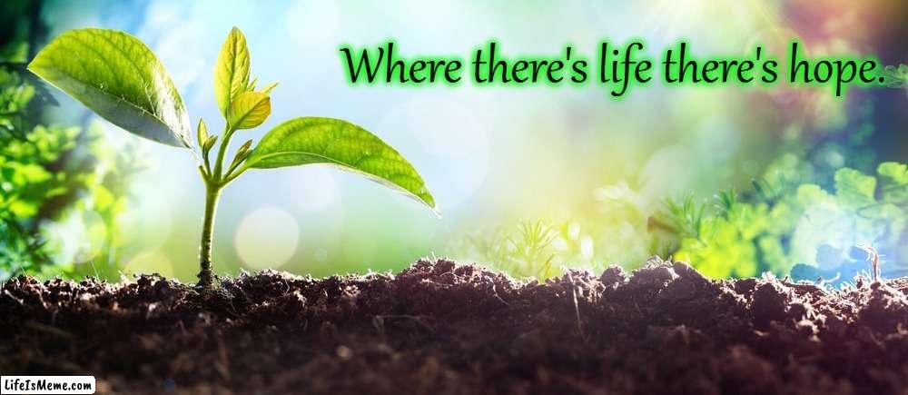 Hope | Where there's life there's hope. | image tagged in life,hope,optimism,encouragement | made w/ Lifeismeme meme maker