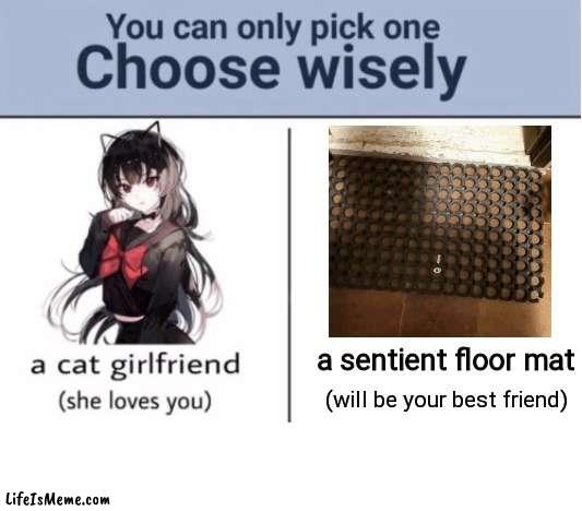 A tough decision... | a sentient floor mat; (will be your best friend) | image tagged in choose wisely,fun,choose | made w/ Lifeismeme meme maker