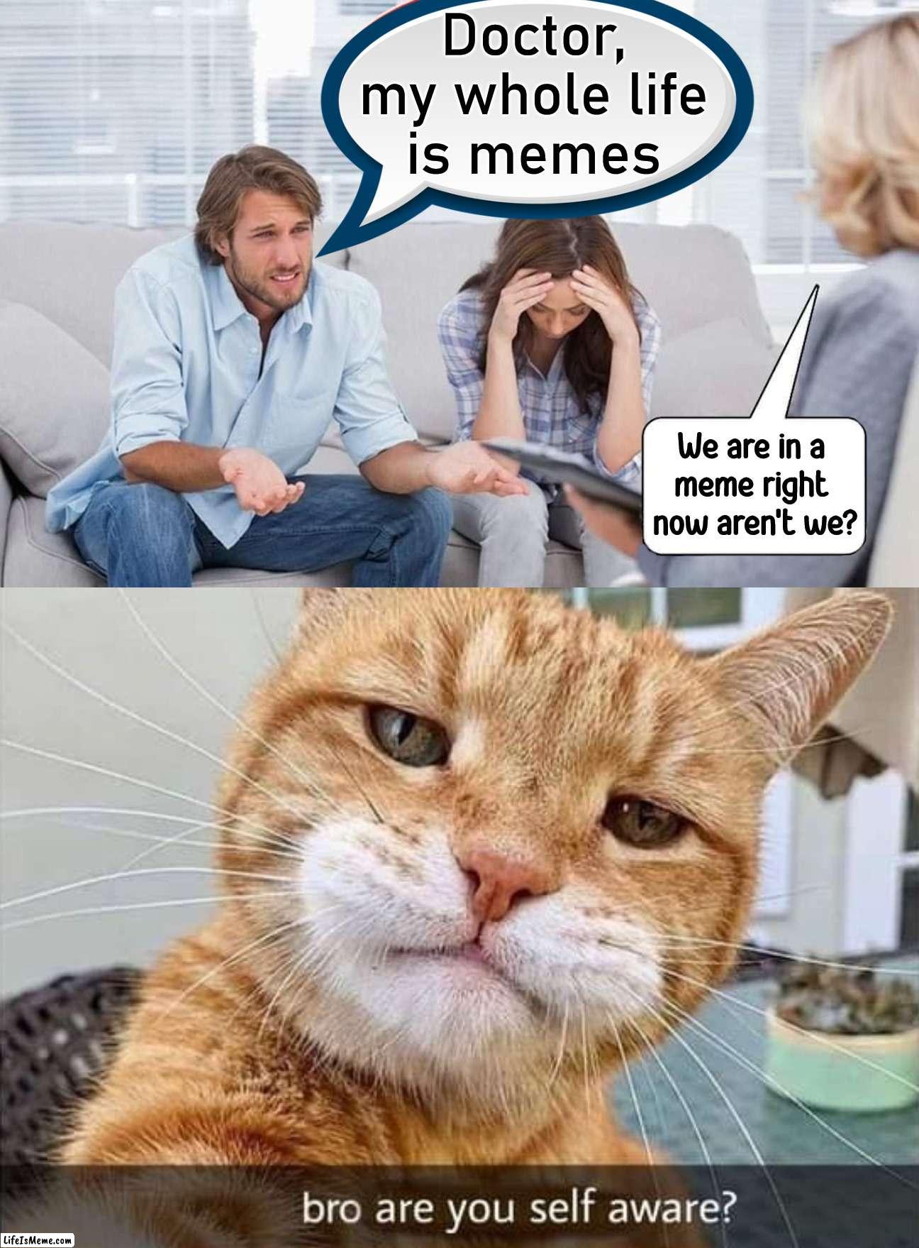 When a meme becomes self aware | Doctor,
my whole life
is memes | image tagged in self help,awareness,memes,in the future | made w/ Lifeismeme meme maker