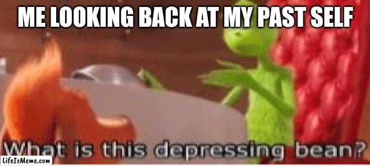 What is this depressing bean? | ME LOOKING BACK AT MY PAST SELF | image tagged in what is this depressing bean | made w/ Lifeismeme meme maker