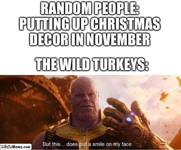 But this does put a smile on my face | RANDOM PEOPLE: PUTTING UP CHRISTMAS DECOR IN NOVEMBER; THE WILD TURKEYS: | image tagged in but this does put a smile on my face | made w/ Lifeismeme meme maker