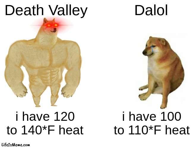 death valley vs. dalol | Death Valley; Dalol; i have 120 to 140*F heat; i have 100 to 110*F heat | image tagged in memes,buff doge vs cheems | made w/ Lifeismeme meme maker