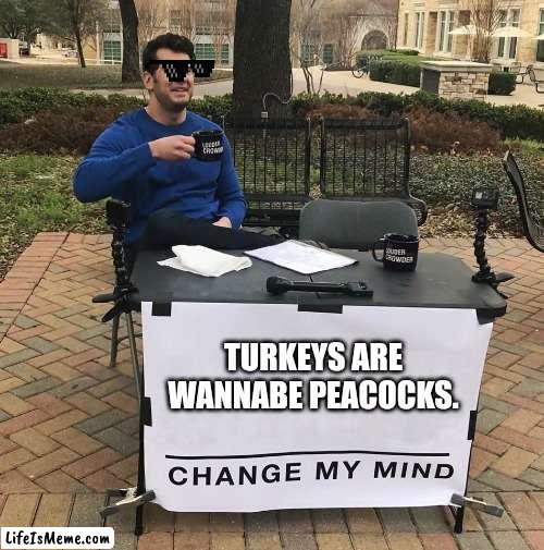 Wannabes | TURKEYS ARE WANNABE PEACOCKS. | image tagged in change my mind | made w/ Lifeismeme meme maker
