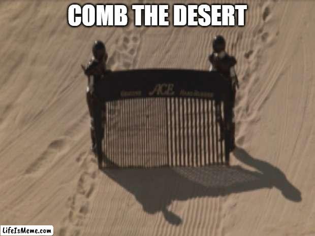 CoMb tHE dESerT | COMB THE DESERT | image tagged in literally | made w/ Lifeismeme meme maker