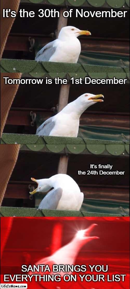 Christmas in a perfect world: | It's the 30th of November; Tomorrow is the 1st December; It's finally the 24th December; SANTA BRINGS YOU EVERYTHING ON YOUR LIST | image tagged in memes,inhaling seagull,chistmas,perfect world,seagull,fun | made w/ Lifeismeme meme maker
