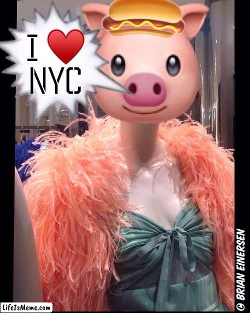 New YorKer | image tagged in fashion,elie saab,piggy peloton,emooji art,brian einersen | made w/ Lifeismeme meme maker