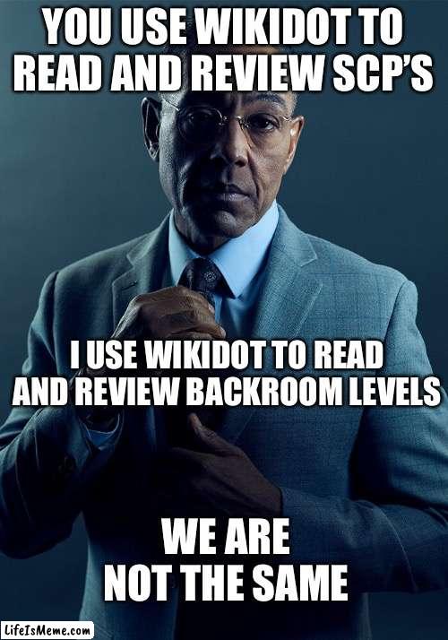Backrooms wiki surpremacy | YOU USE WIKIDOT TO READ AND REVIEW SCP’S; I USE WIKIDOT TO READ AND REVIEW BACKROOM LEVELS; WE ARE NOT THE SAME | image tagged in gus fring we are not the same,the backrooms,scp,wikidot | made w/ Lifeismeme meme maker