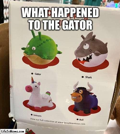 Gator | WHAT HAPPENED TO THE GATOR | image tagged in memes | made w/ Lifeismeme meme maker