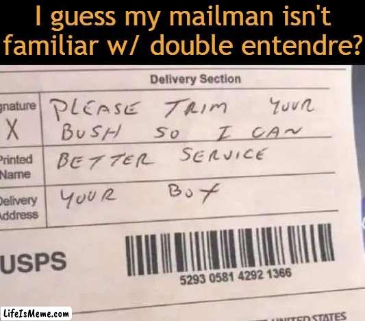 Whatever happened to rain, sleet, snow and hail...? | I guess my mailman isn't
familiar w/ double entendre? | image tagged in fun,funny,imgflip humor,mailman,mail,lol | made w/ Lifeismeme meme maker