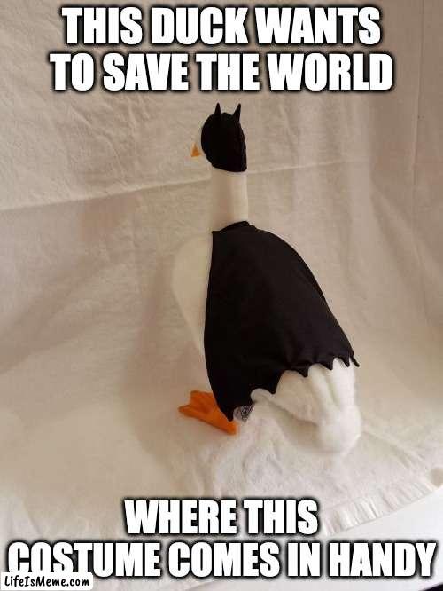 Duck in Batman Costume | THIS DUCK WANTS TO SAVE THE WORLD; WHERE THIS COSTUME COMES IN HANDY | image tagged in duck,memes | made w/ Lifeismeme meme maker