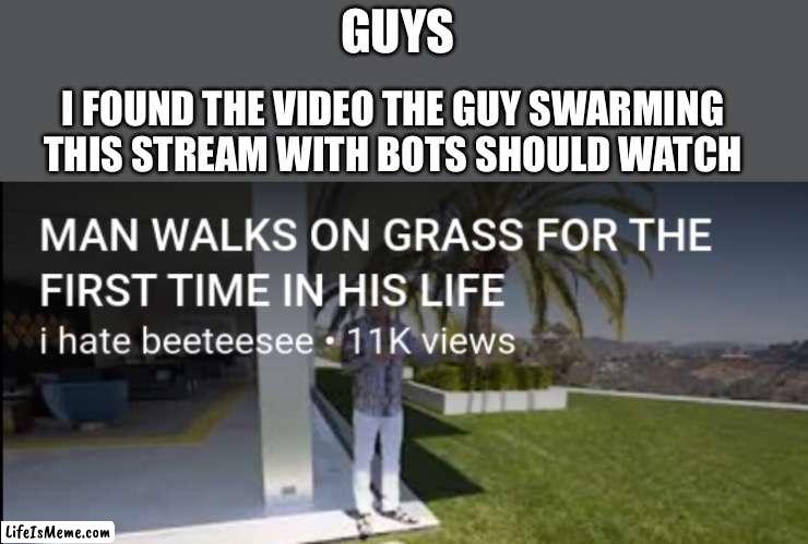 What a jerk | GUYS; I FOUND THE VIDEO THE GUY SWARMING THIS STREAM WITH BOTS SHOULD WATCH | image tagged in man walks on grass for the first time in his life,funny,not my template | made w/ Lifeismeme meme maker