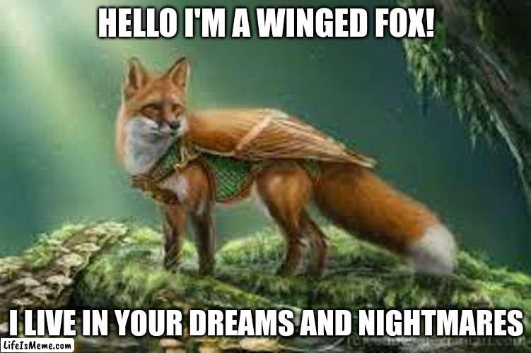 Winged Fox | HELLO I'M A WINGED FOX! I LIVE IN YOUR DREAMS AND NIGHTMARES | image tagged in memes | made w/ Lifeismeme meme maker