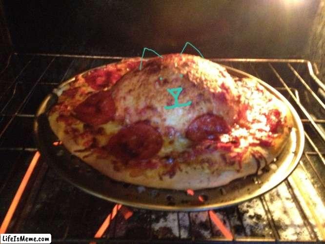 Meme #228 | image tagged in furries,inflation,cats,memes,pizza,funny | made w/ Lifeismeme meme maker