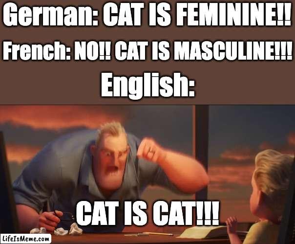 'Cat' in Germanic and Romance languages | German: CAT IS FEMININE!! French: NO!! CAT IS MASCULINE!!! English:; CAT IS CAT!!! | image tagged in math is math | made w/ Lifeismeme meme maker