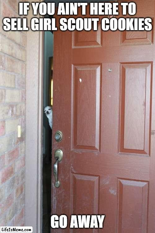 Girl scout cookies | IF YOU AIN'T HERE TO SELL GIRL SCOUT COOKIES; GO AWAY | image tagged in funny dogs,girl scout cookies | made w/ Lifeismeme meme maker